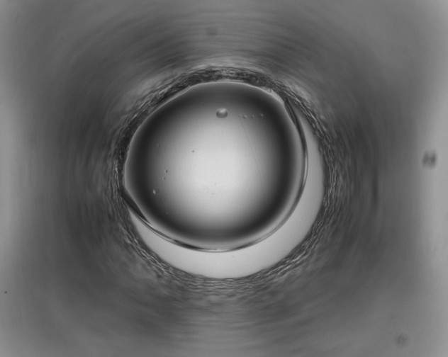 X0000097601062200803071425