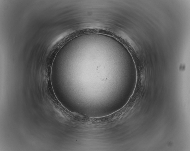 X0000097601064200803071425