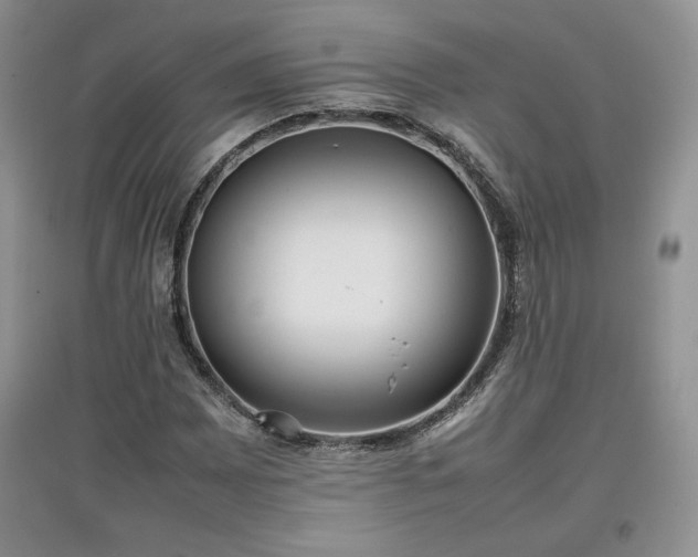X0000097601065200803071425