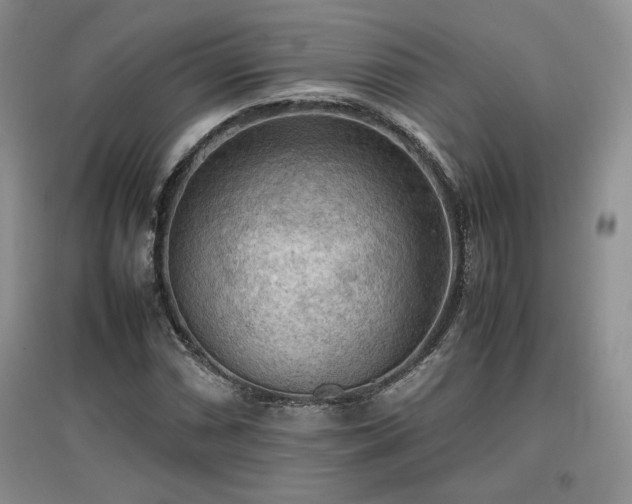 X0000097601066200803071425