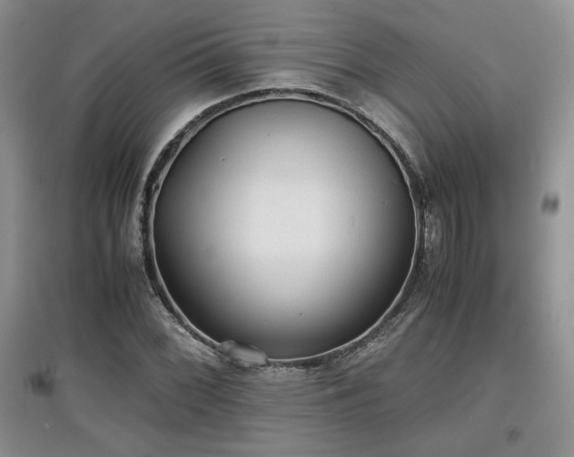 X0000097601068200803071425