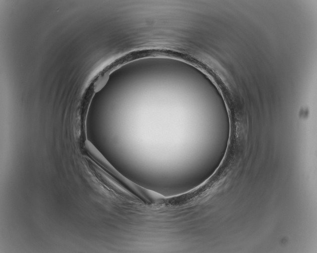 X0000097601069200803071425