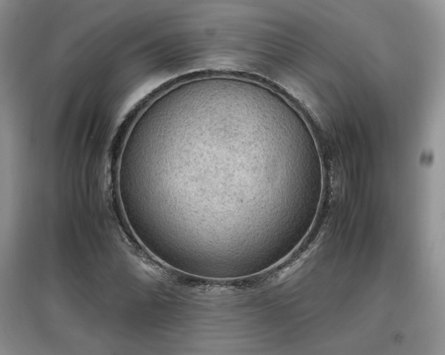 X0000097601070200803071425