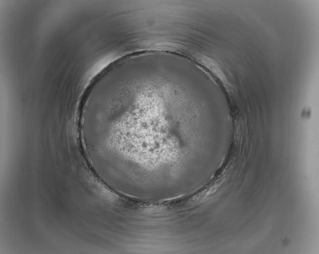X0000097601071200803071425