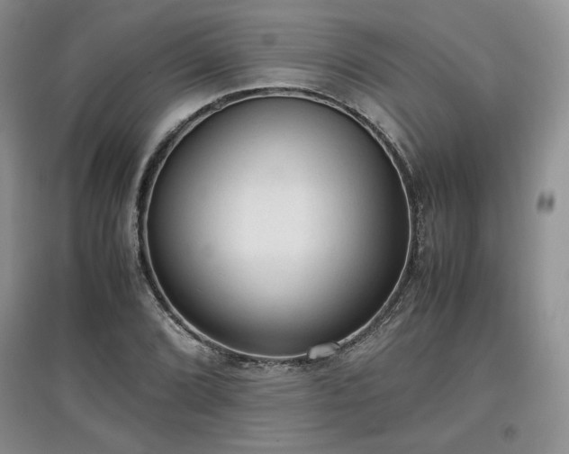 X0000097601072200803071425
