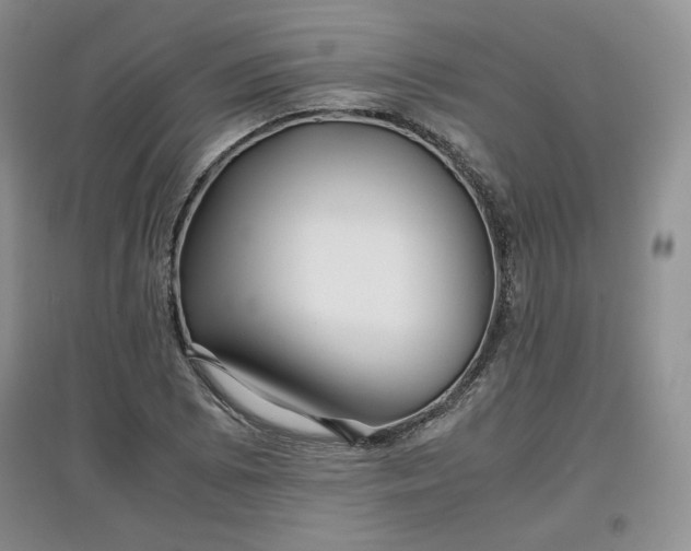 X0000097601073200803071425