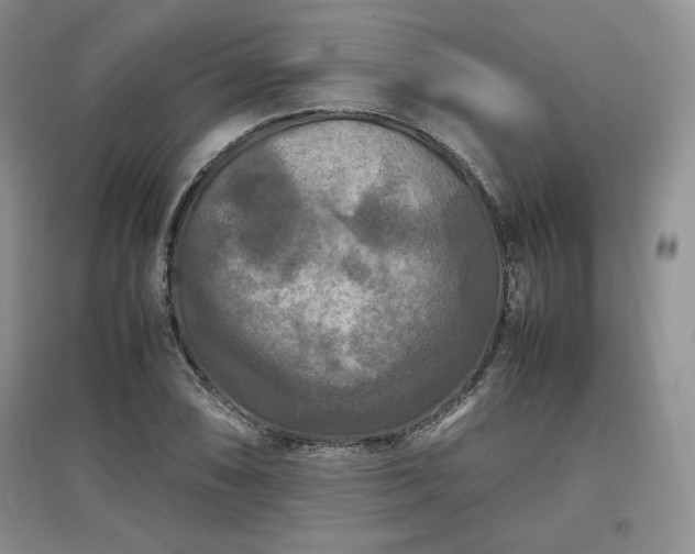 X0000097601074200803071425