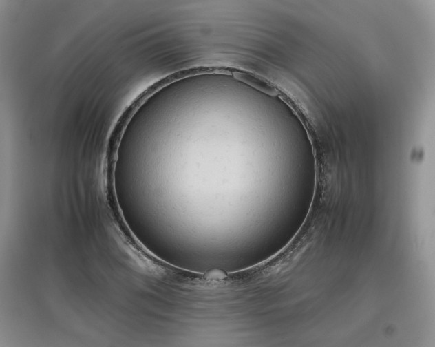 X0000097601076200803071425