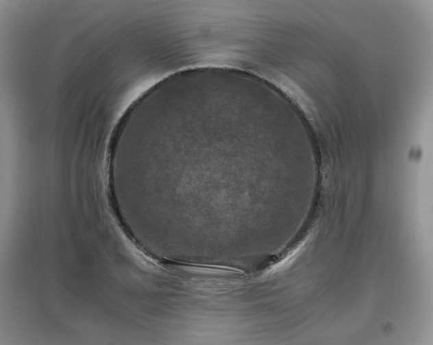 X0000097601077200803071425