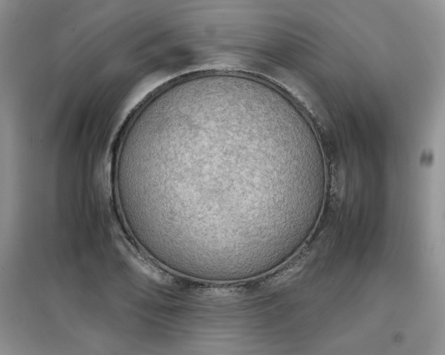 X0000097601078200803071425