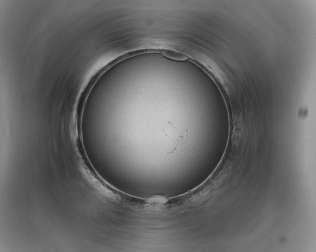 X0000097601080200803071425