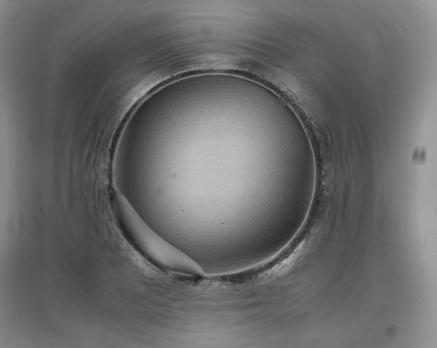 X0000097601081200803071425