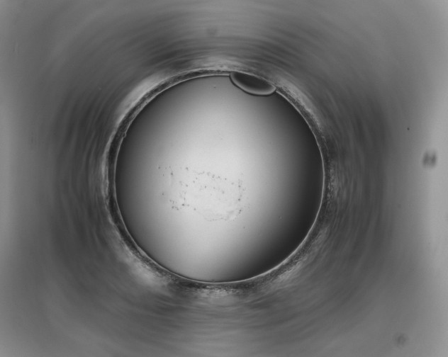 X0000097601082200803071425