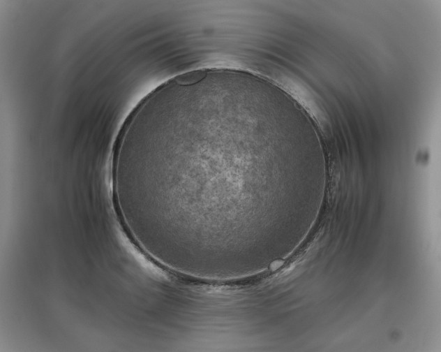 X0000097601084200803071425
