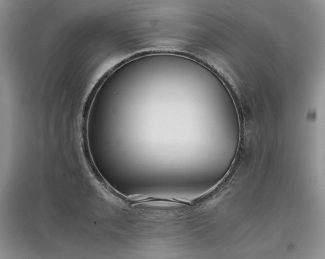 X0000097601085200803071425