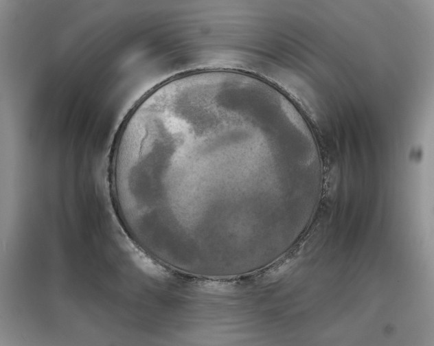 X0000097601086200803071425
