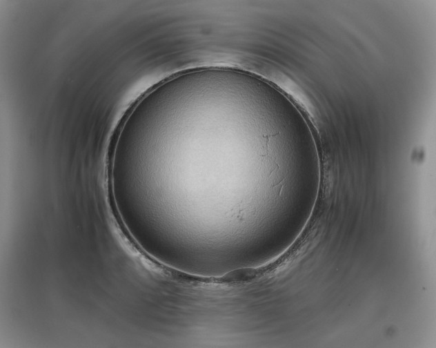 X0000097601088200803071425