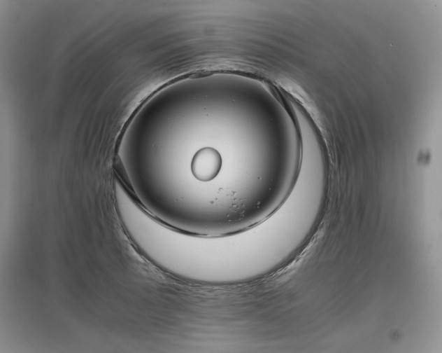 X0000097601089200803071425