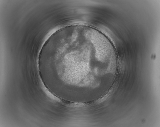 X0000097601090200803071425