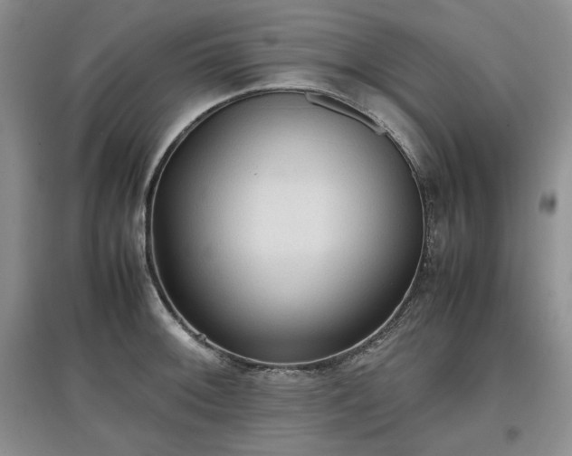 X0000097601092200803071425