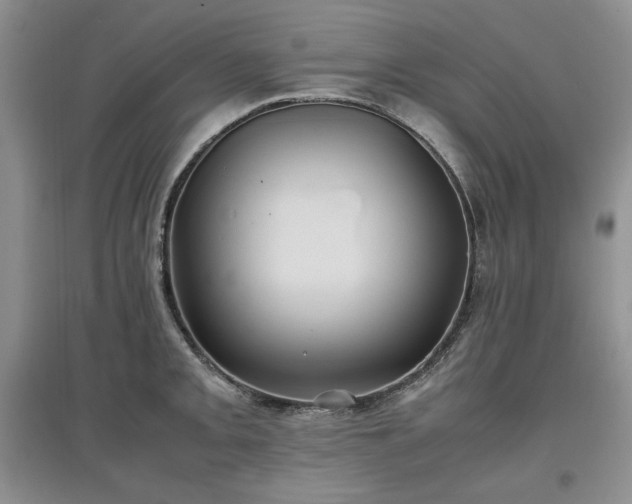 X0000097601093200803071425
