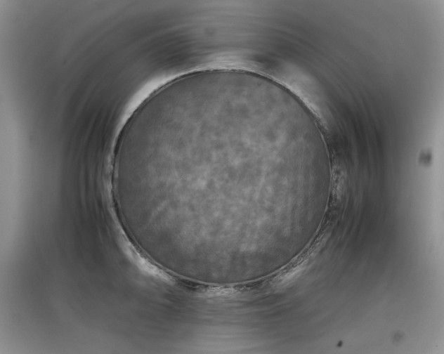 X0000097601094200803071424