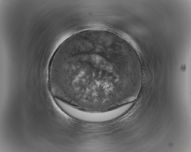 X0000097601095200803071424