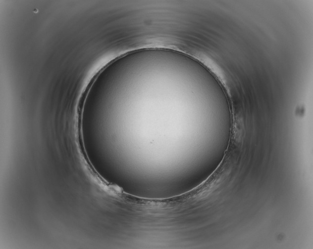 X0000097601096200803071424