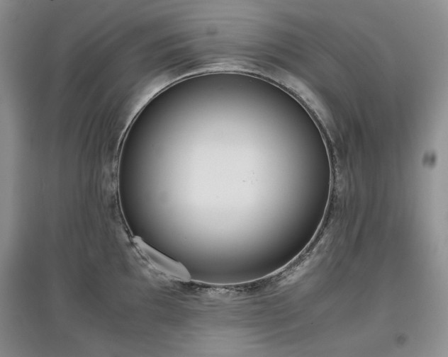 X0000097601097200803071424