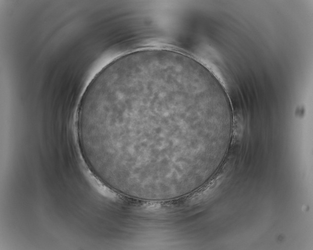 X0000097601098200803071424
