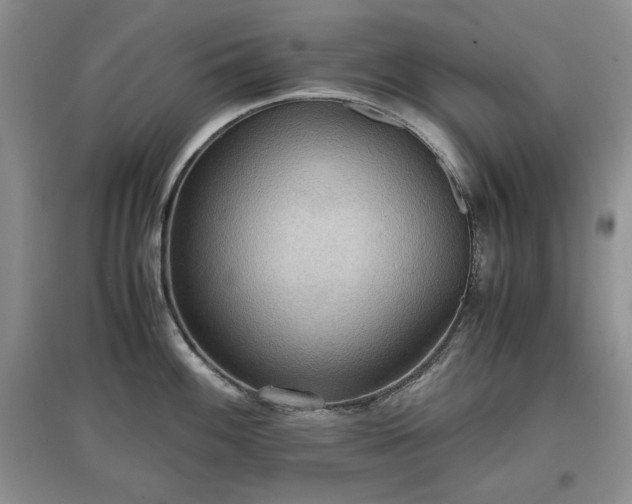 X0000097601100200803071424