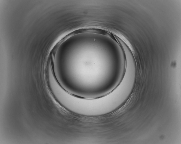 X0000097601101200803071424