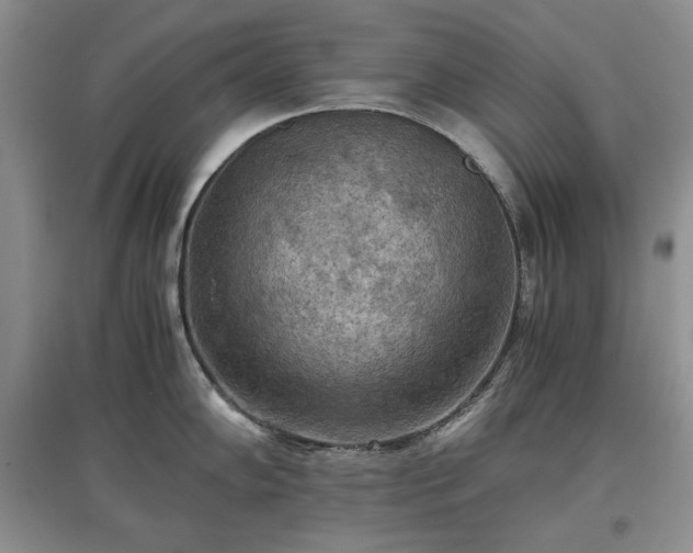 X0000097601102200803071424