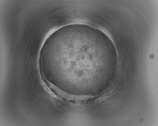 X0000097601104200803071424