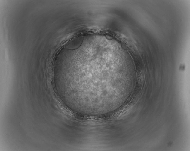 X0000097601105200803071424