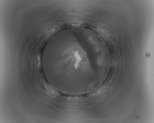 X0000097601106200803071424