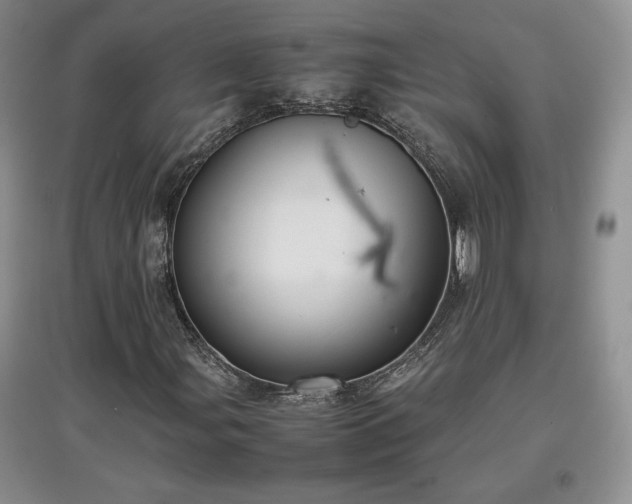 X0000097601107200803071424