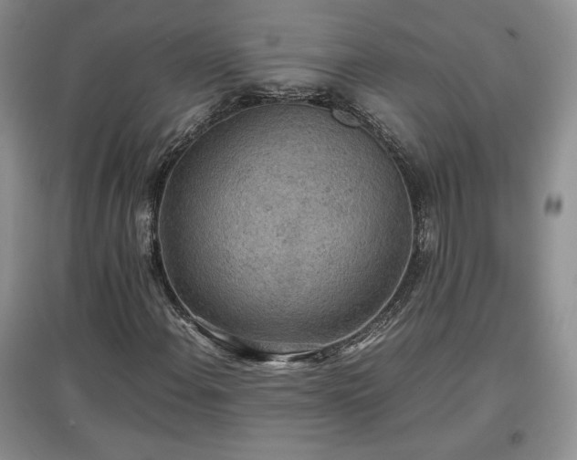 X0000097601108200803071424