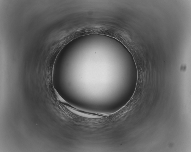 X0000097601109200803071424