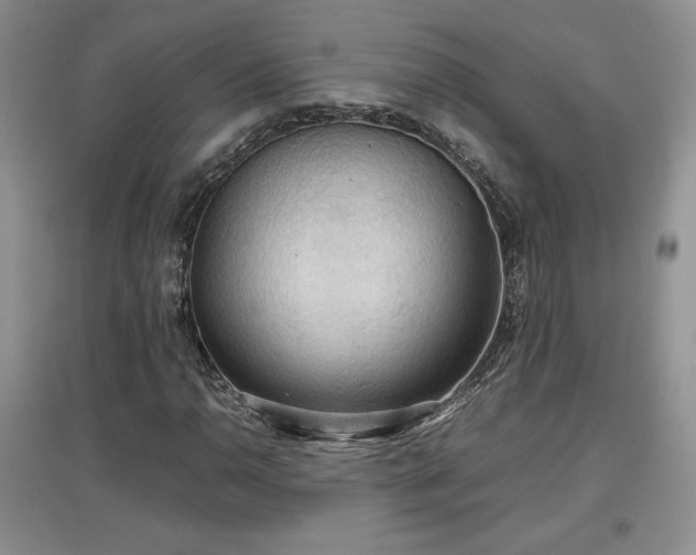 X0000097601110200803071424