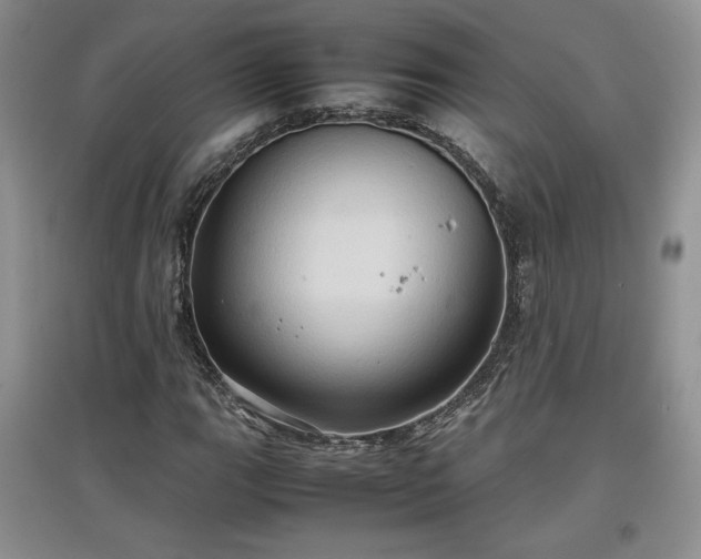 X0000097601111200803071424