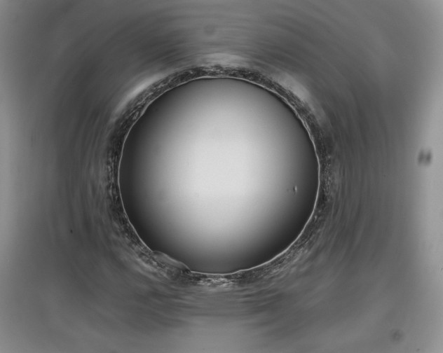 X0000097601112200803071424