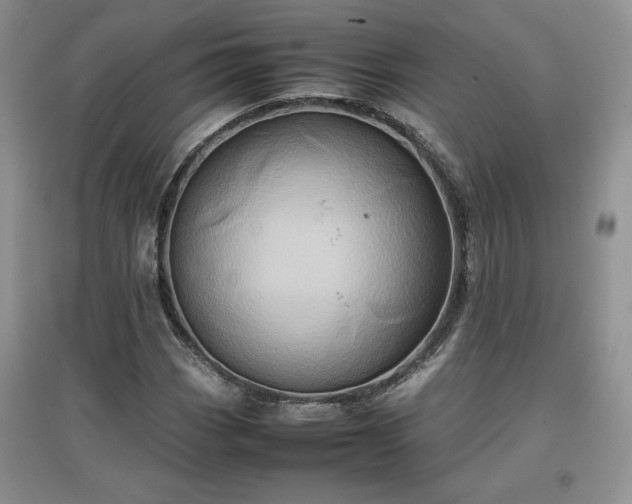 X0000097601113200803071424