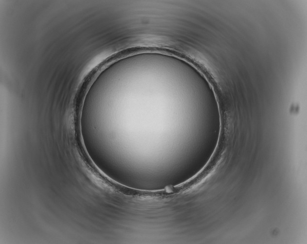 X0000097601114200803071424