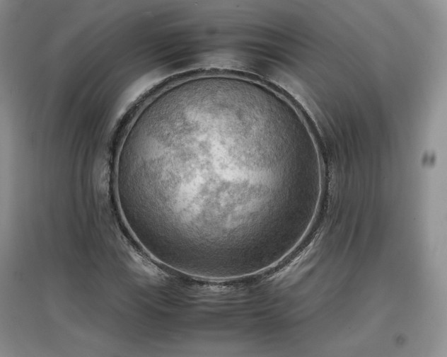X0000097601115200803071424