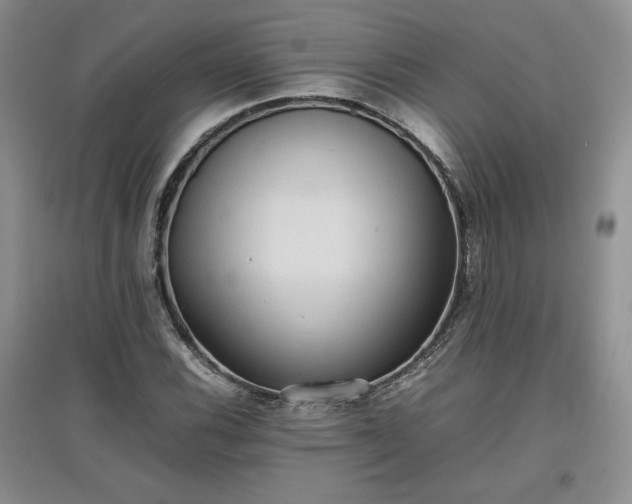X0000097601116200803071424