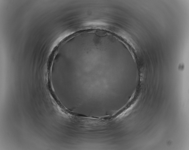 X0000097601117200803071424