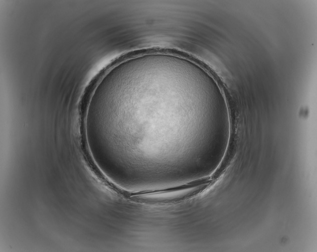 X0000097601118200803071424