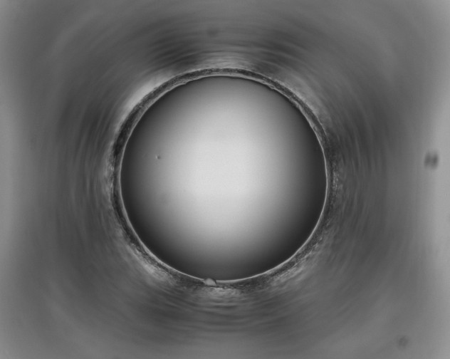 X0000097601119200803071424