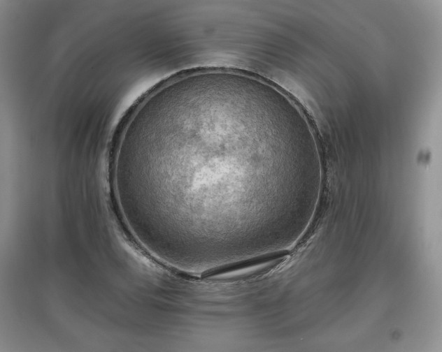 X0000097601120200803071424